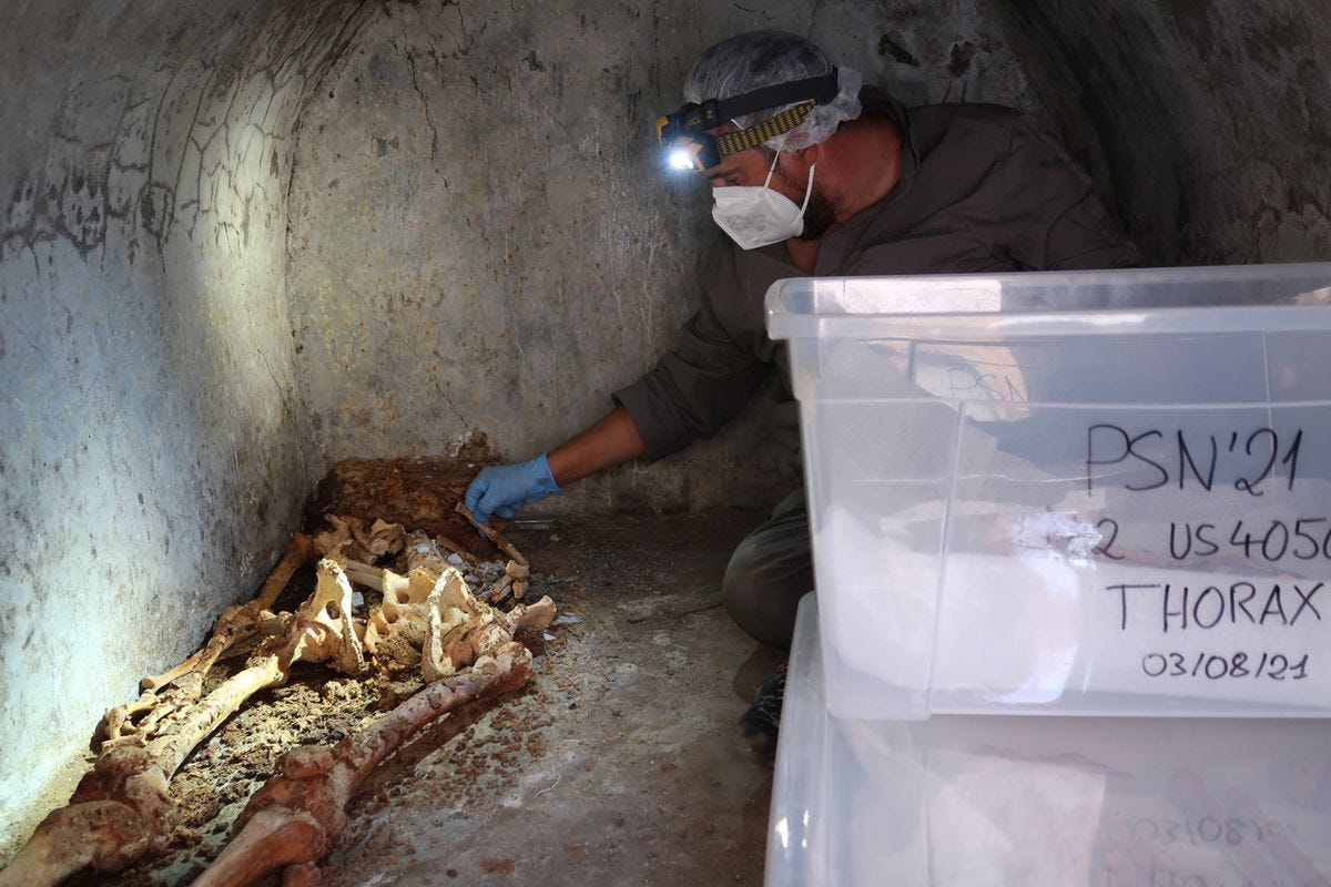 La tomba di Marcus Venerius Secundio. Fonte: digismak.com Scoperta tomba unica a Pompei con anziano semi mummificato