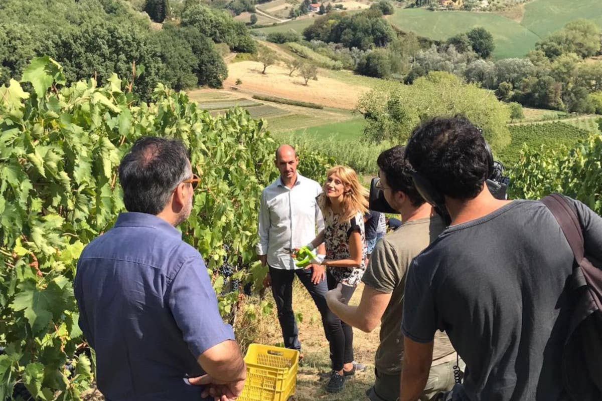 La cucina del ristorante AlMare in abbinamento ai vini di Mariotti e Di Sante