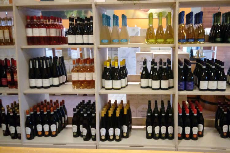 (Torrevilla mappa i suoi vigneti per migliorare i vini dell&rsquo;Oltrep&ograve; Pavese)