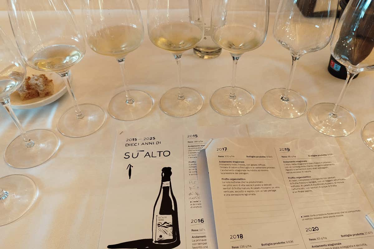 Su Alto e la visione biodinamica della cantina L’Antica Quercia