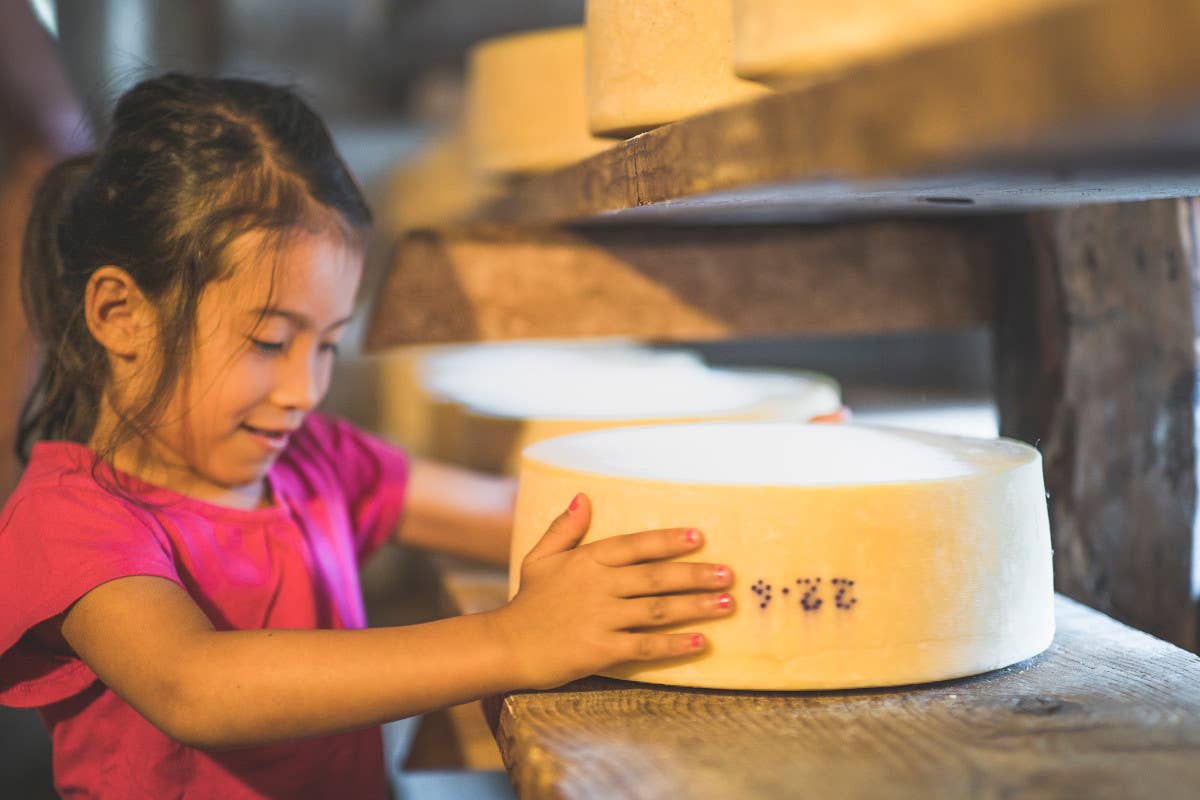 Malghe in festa con il ritorno del “Cheese FestiVal di Sole”