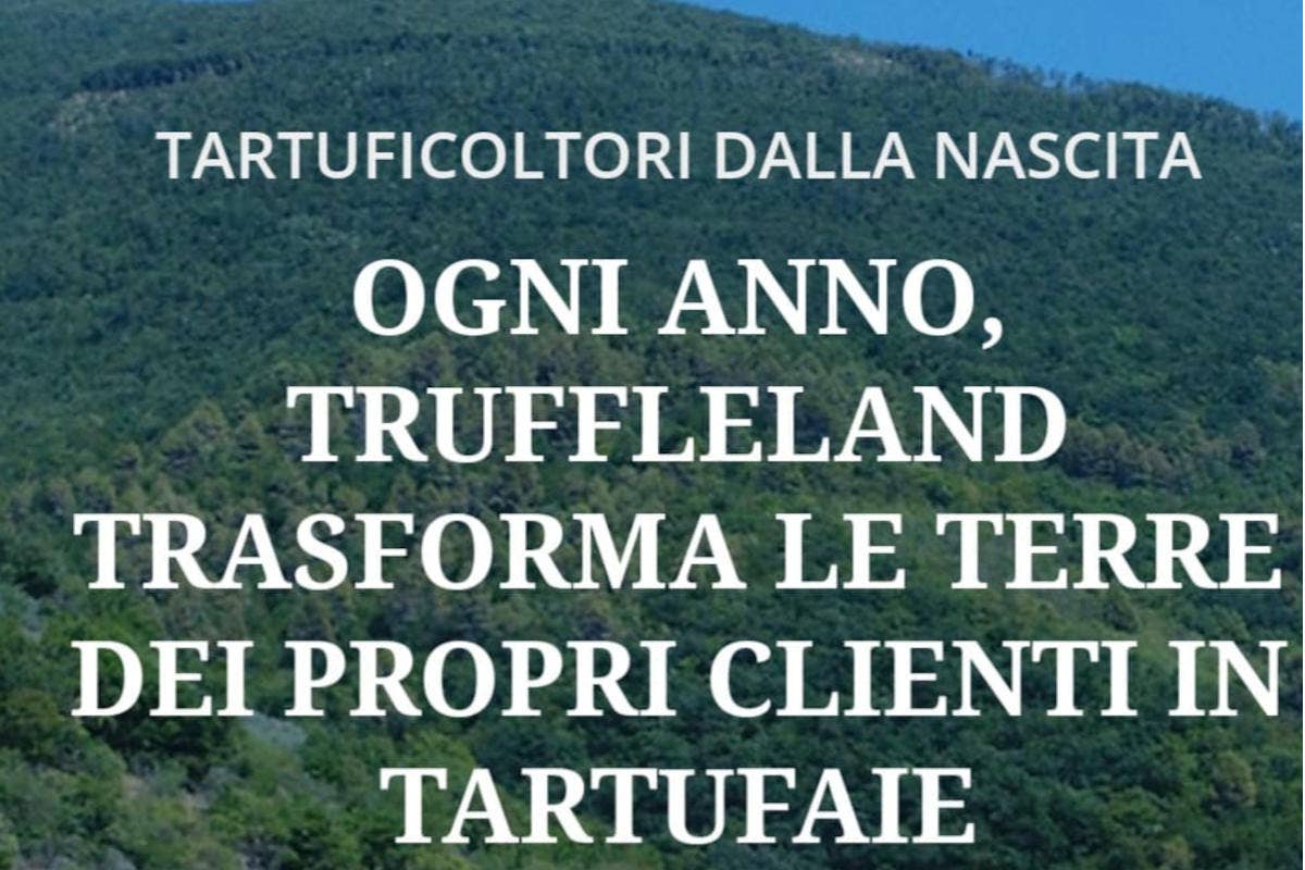 Il Truffleland e le piantine ideali per la produzione del tartufo