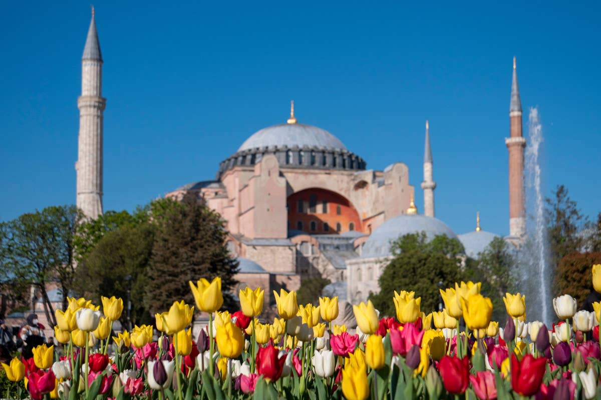 Festival dei tulipani ad Istanbul: un'occasione perfetta per visitare la città