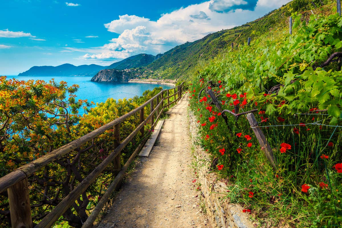 Turismo del paesaggio in Liguria alle Cinque Terre Paesaggio: un sistema da tutelare che vale 21 miliardi