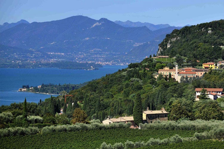 (Turismo enogastronomicoIl Garda nella top 10 di Wine Enthusiast)