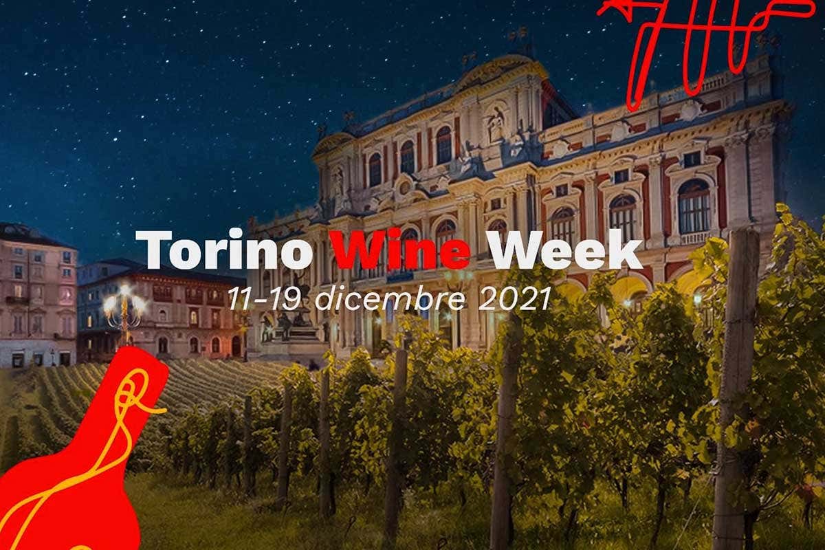 La locandina dell'evento Torino Wine Week, torna la settimana del vino in versione invernale La locandina dell'evento Torino Wine Week, torna la settimana del vino in versione invernale