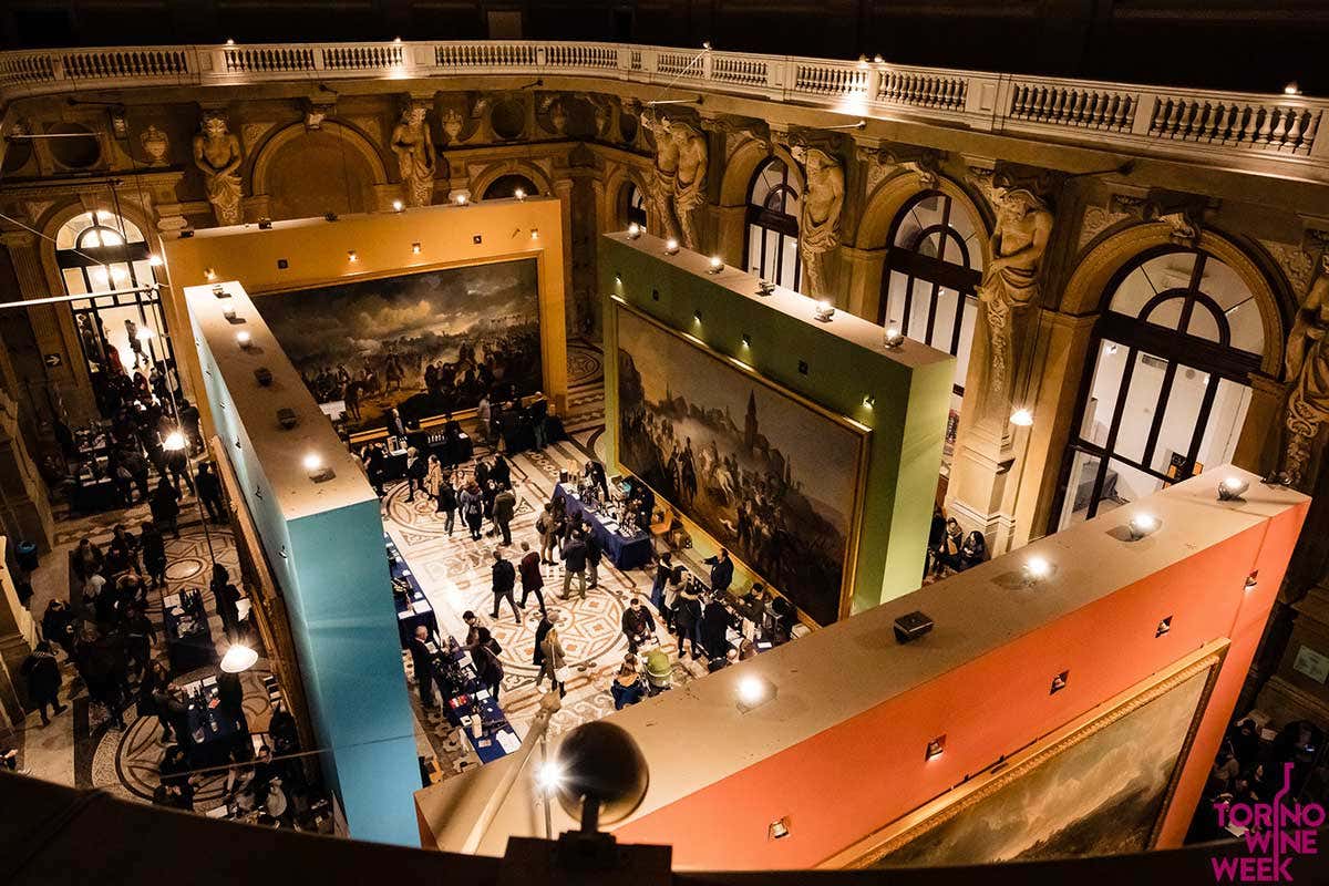 Al Salone del Vino attesi 70 produttori da tutta Italia Torino Wine Week, torna la settimana del vino in versione invernale Al Salone del Vino attesi 70 produttori da tutta Italia Torino Wine Week, torna la settimana del vino in versione invernale