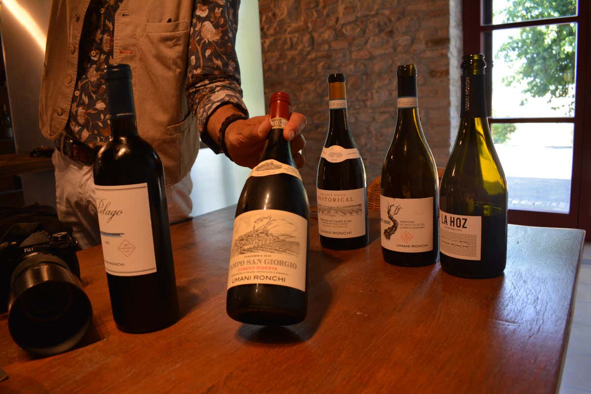 Dal Verdicchio al Montepulciano: un viaggio nei grandi vini di Umani Ronchi