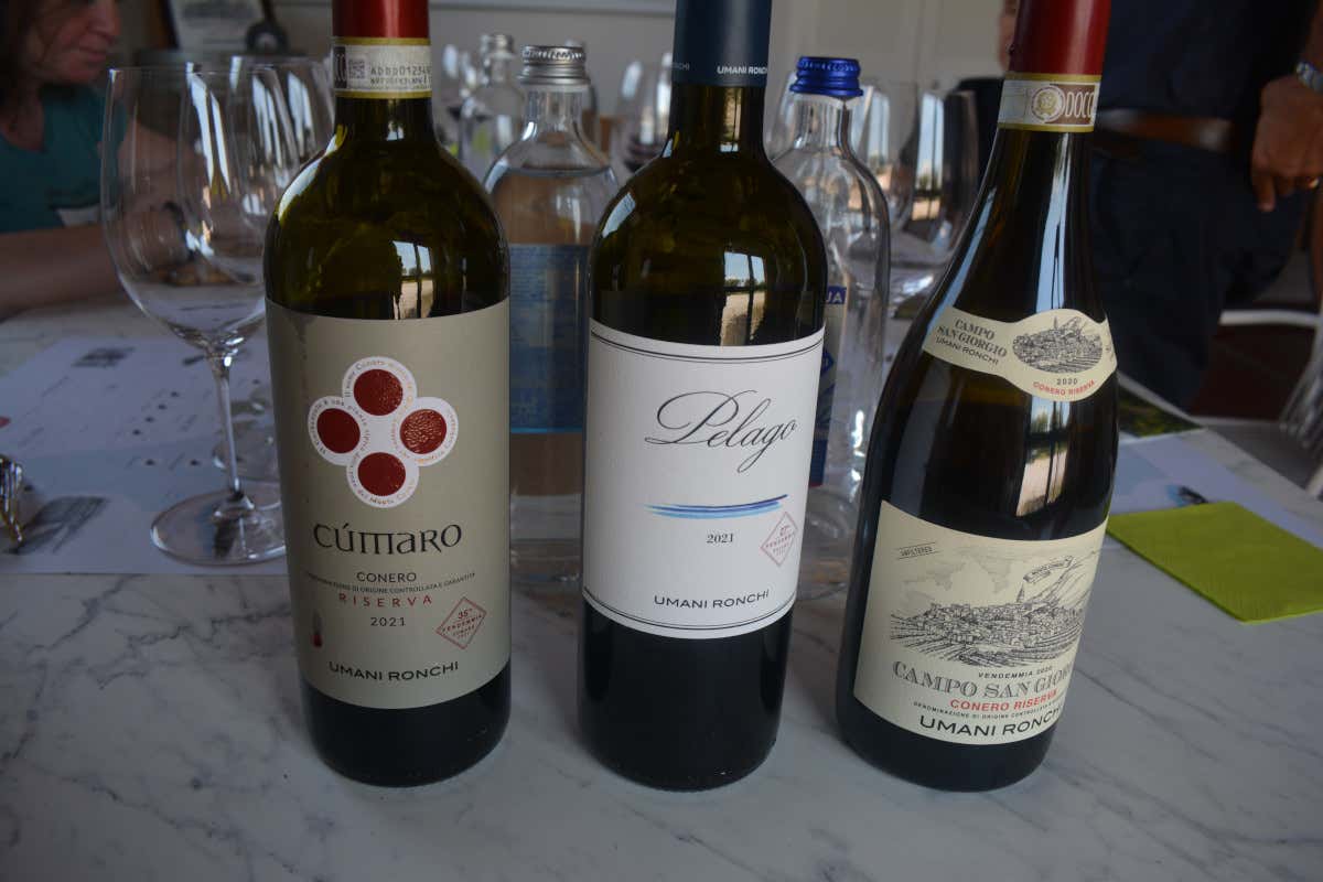 Dal Verdicchio al Montepulciano: un viaggio nei grandi vini di Umani Ronchi