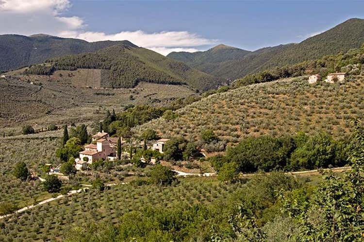 Umbria, terra di grande fascino e di oli extravergine d&rsquo;eccellenza