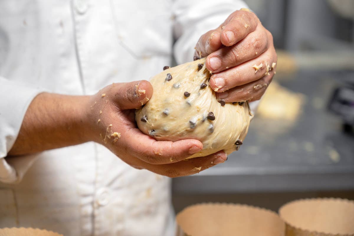 Torino si prepara a “Una mole di panettoni”: tre giorni all'insegna del gusto