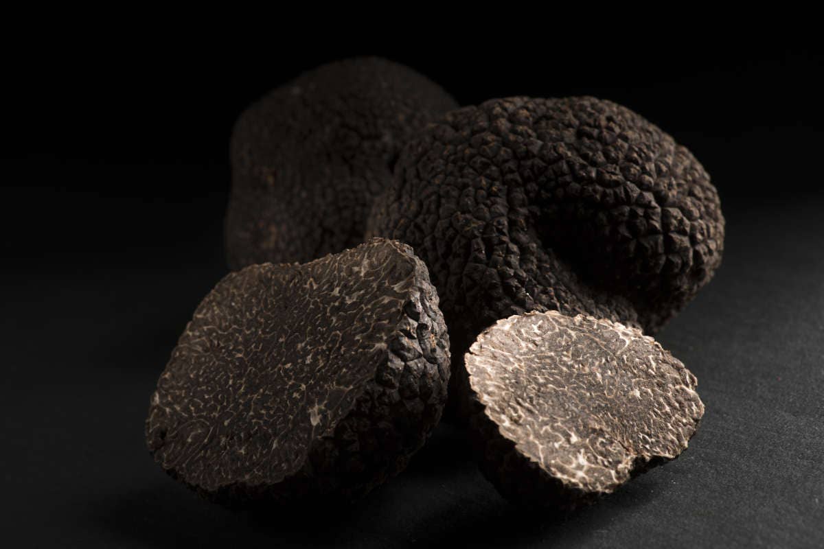 Tartufo nero pregiato: ingrediente versatile in cucina