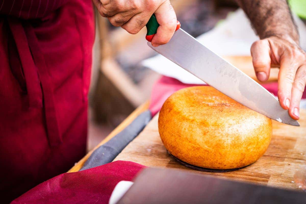 Alla scoperta della Valdichiana tra storia, cultura contadina e tipicità