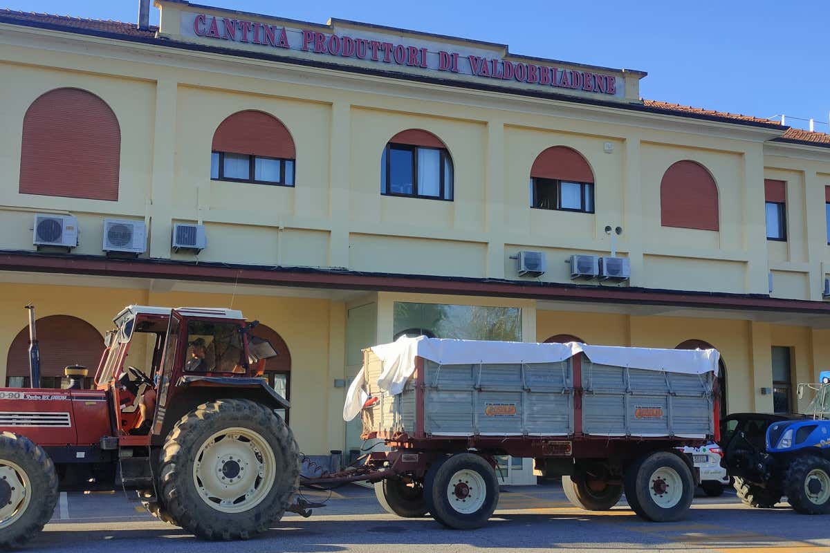 Dentro Val d’Oca: così lavora la grande cooperativa del Prosecco Dentro Val d’Oca: così lavora la grande cooperativa del Prosecco