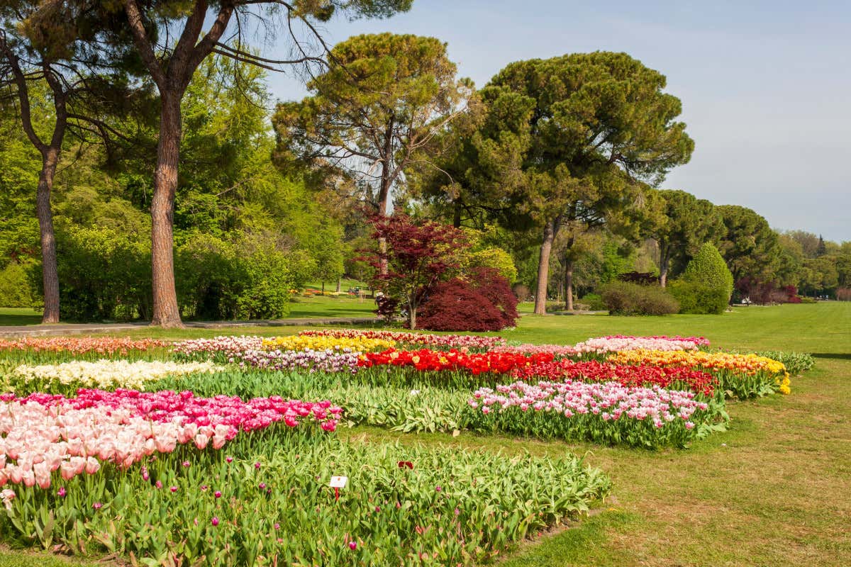 Da borgo a Capitale della Cultura? Valeggio sul Mincio punta al titolo italiano del 2028