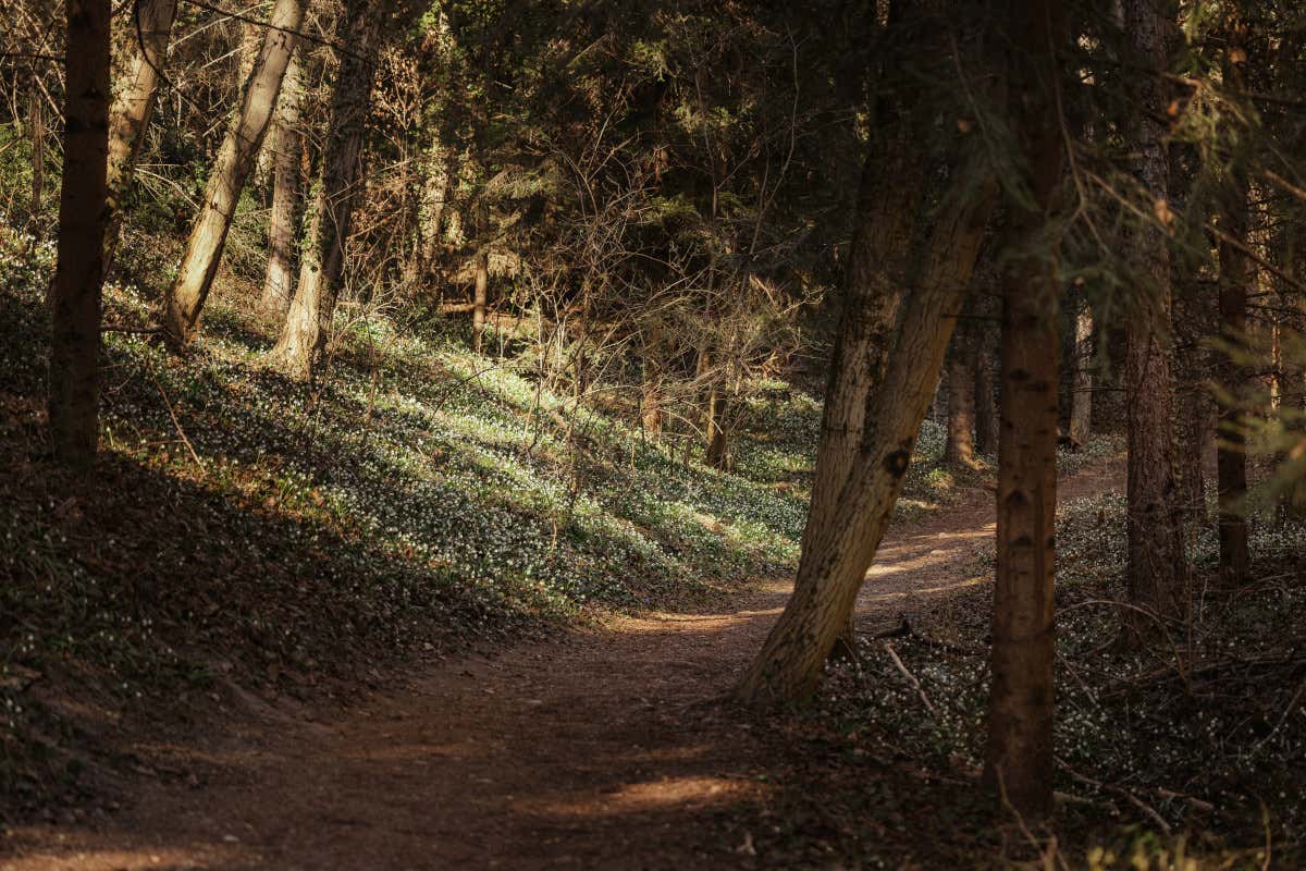 In Alto Adige la primavera è colorata: gli eventi in programma In Alto Adige la primavera è colorata: gli eventi in programma