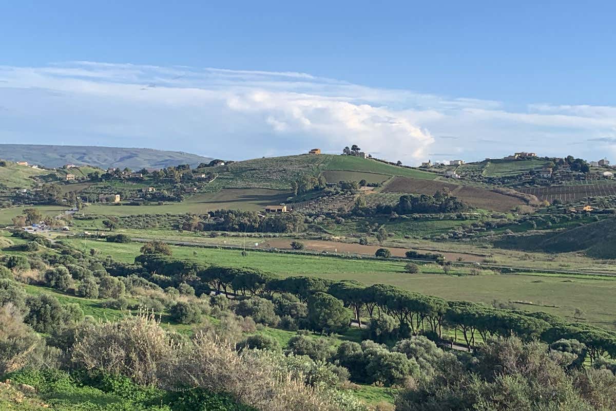 La Valle dei Templi apre il territorio al turismo enogastronomico