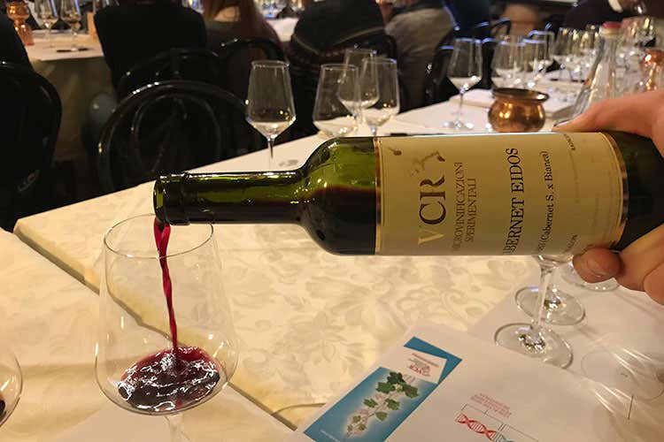 (Le variet&agrave; resistenti in vigna Con la genetica si debellano le malattie)