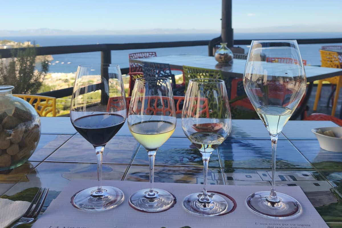 Tommasone a Ischia: dall’affinamento subacqueo al Metodo Classico senza compromessi Tommasone a Ischia: dall’affinamento subacqueo al Metodo Classico senza compromessi