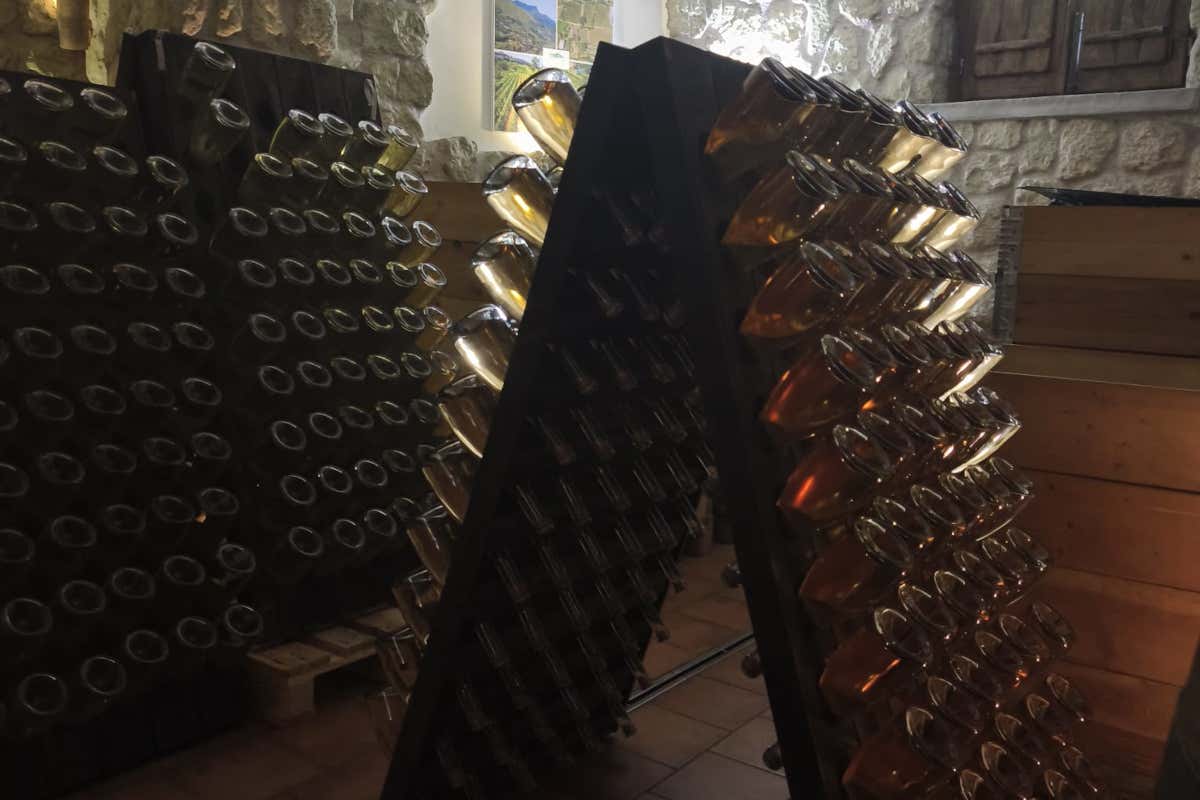 Tommasone a Ischia: dall’affinamento subacqueo al Metodo Classico senza compromessi Tommasone a Ischia: dall’affinamento subacqueo al Metodo Classico senza compromessi