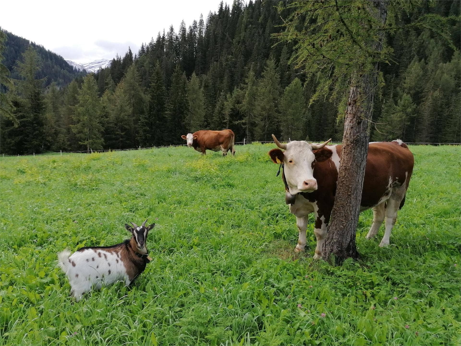 Val Badia: quel sogno ad occhi aperti all'ombra delle Dolomiti