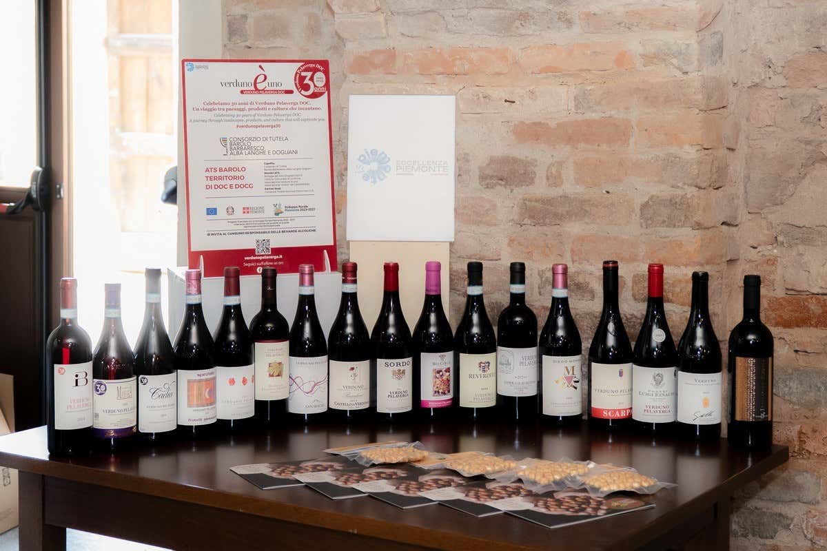 Nelle Langhe c’è un vino rosso (unico) che ha compiuto 30 anni