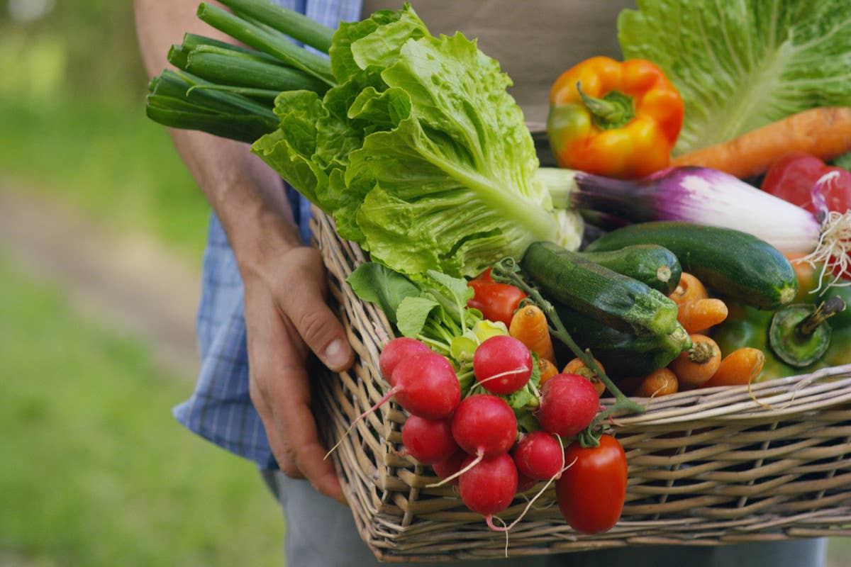 Alimentare prezzi alle stelle: le verdure salgono del 13.9% pesa il maltempo