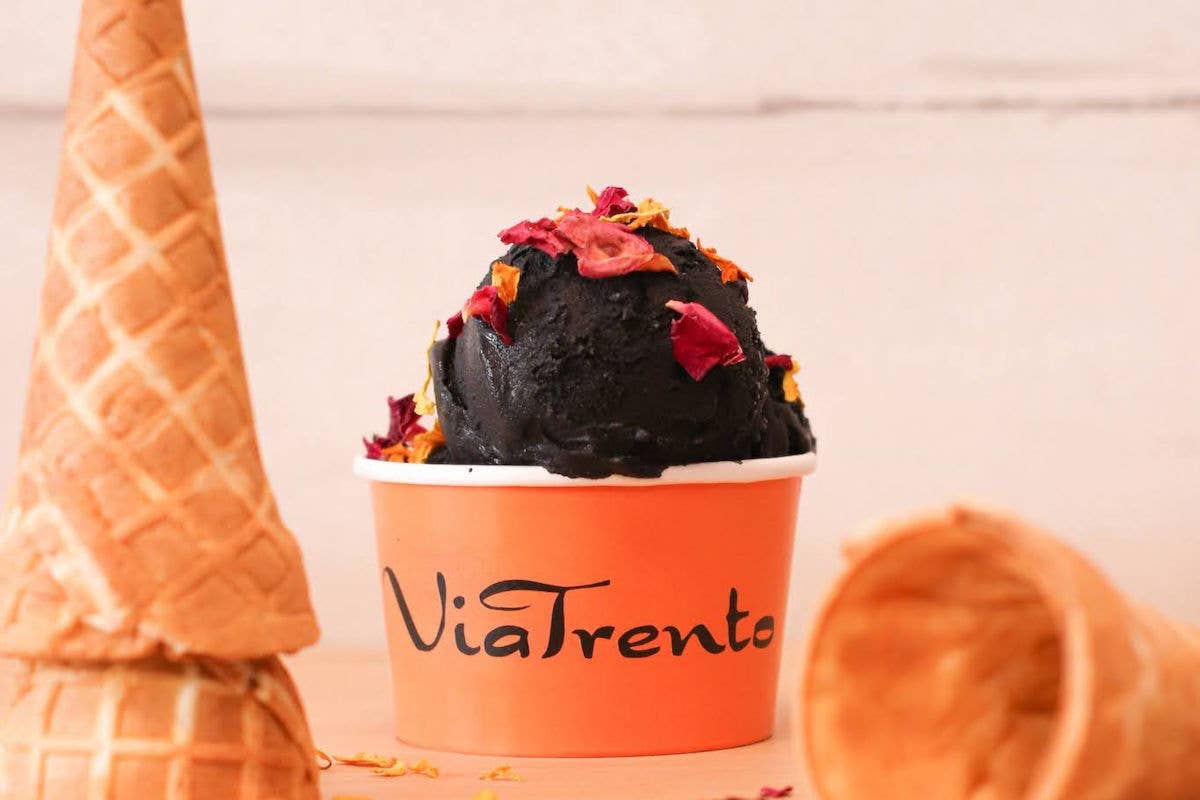 Urban Garden è il nuovo gelato di Via Trento Gelato e Caffè: alla vaniglia con carbone vegetale e fiori edibili 