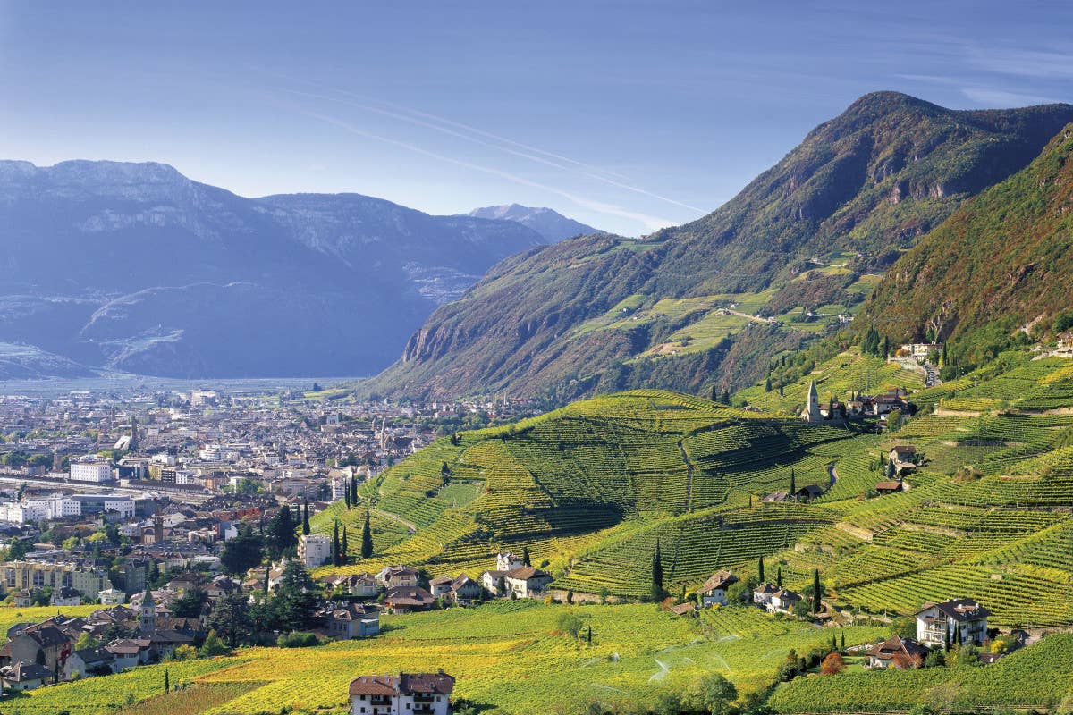 Le vigne intorno a Bolzano (foto Clemens Zahn) Autunno, tutti in vigna: apre Rebe, il nuovo sentiero del vino tra Bolzano e il Renon