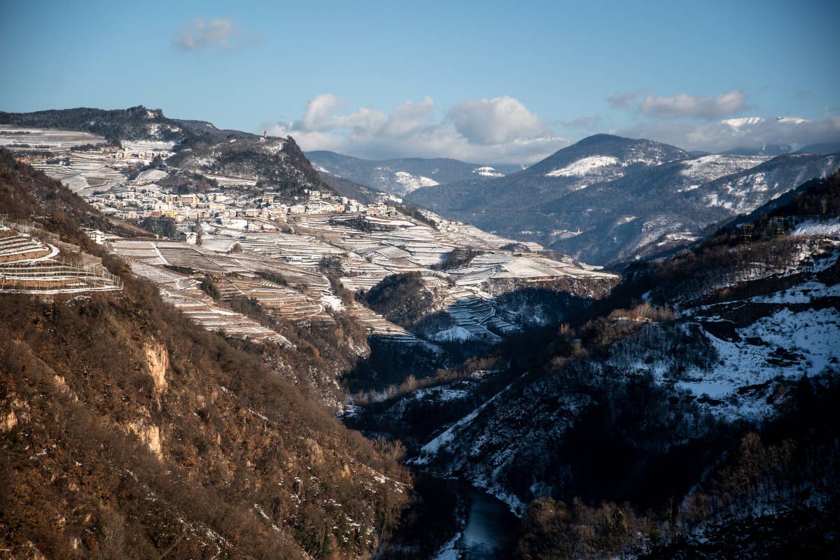 TrentoDoc: il futuro delle bollicine è nella montagna. Intervista al presidente Fambri