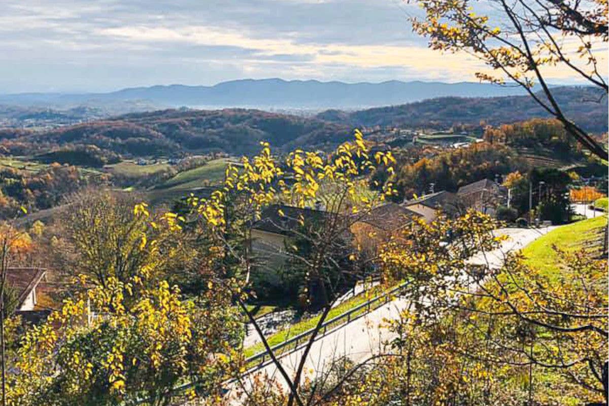 I vini friulani del Collio protagonisti al ristorante Eggs