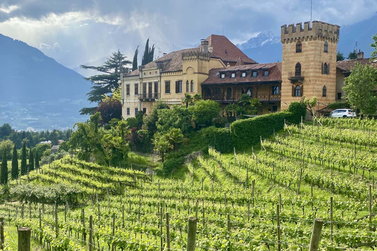 Cucina salutare a Villa Eden: scopri i ristoranti The Tasting Room e Eden’s Park Cucina salutare a Villa Eden: scopri i ristoranti The Tasting Room e Eden’s Park