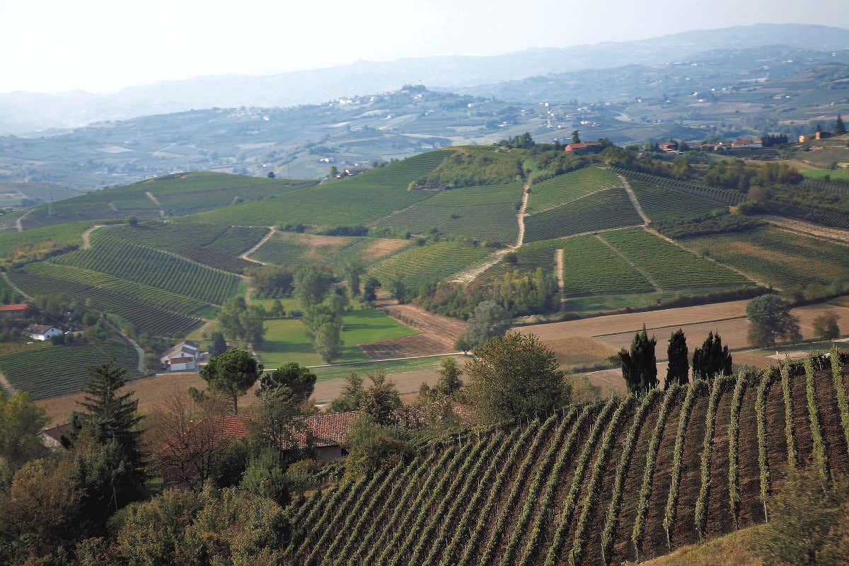 Vinchio Vaglio: storia di una cooperativa che ha rivoluzionato il Monferrato Vinchio Vaglio: storia di una cooperativa che ha rivoluzionato il Monferrato