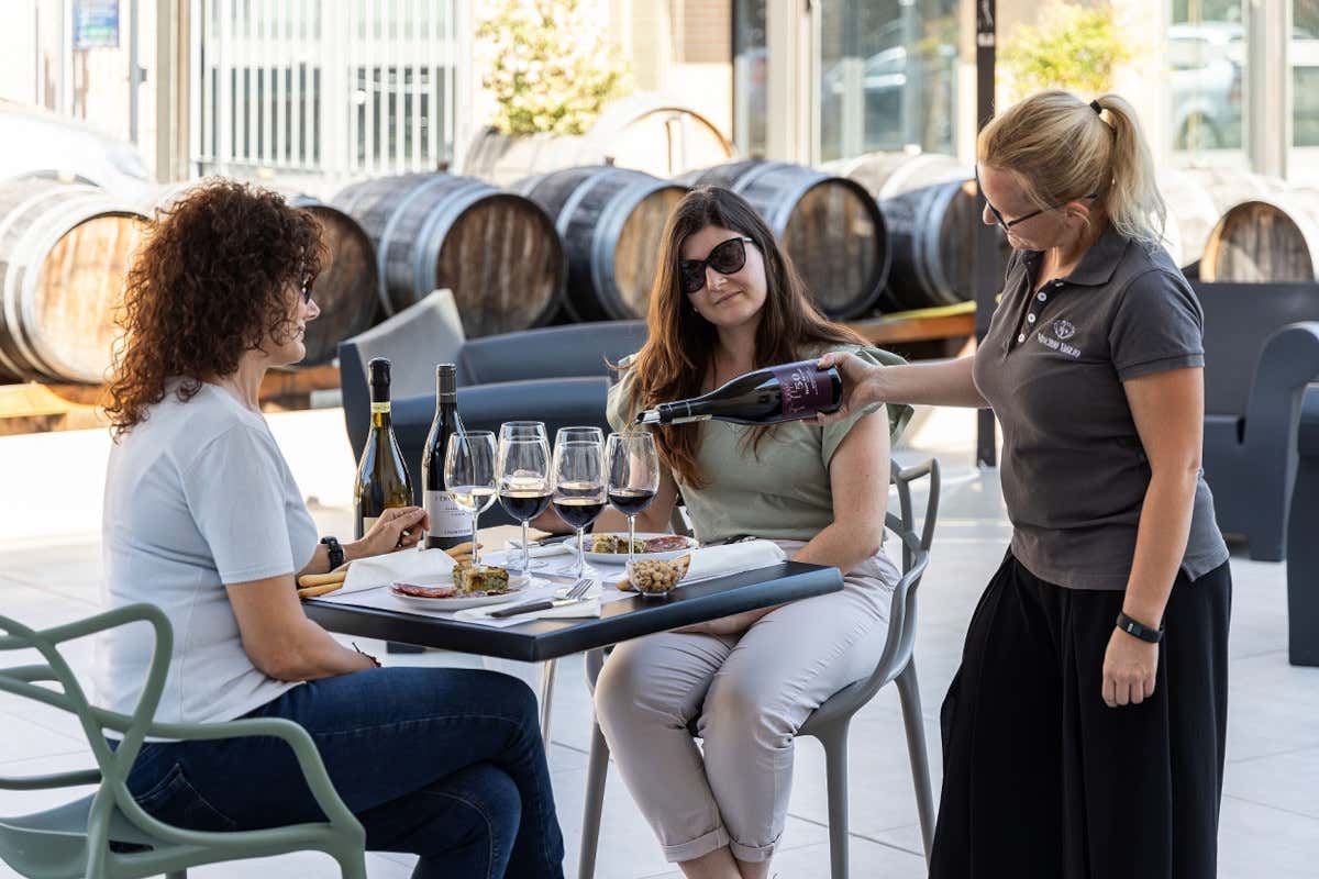 Vinchio Vaglio: storia di una cooperativa che ha rivoluzionato il Monferrato Vinchio Vaglio: storia di una cooperativa che ha rivoluzionato il Monferrato