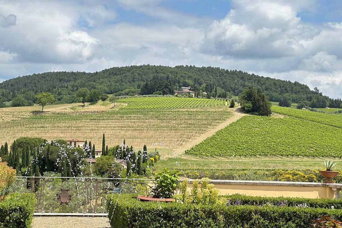 Tignanello, rivoluzione e bellezza: 50 anni fa nasceva il primo Super Tuscan