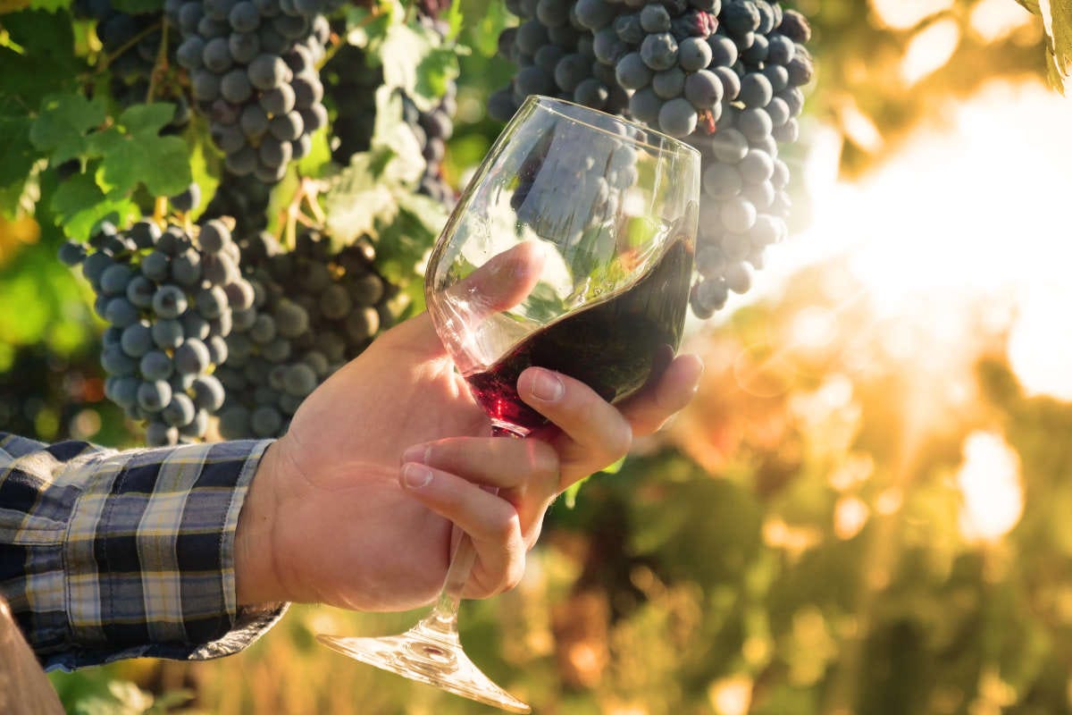La moda dei vini “naturali” conquisterà anche la ristorazione?