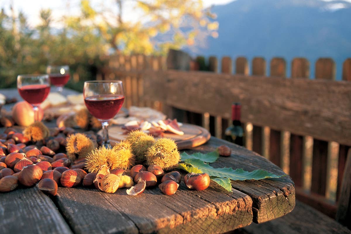 Vino e castagne  Autunno, tutti in vigna: apre Rebe, il nuovo sentiero del vino tra Bolzano e il Renon