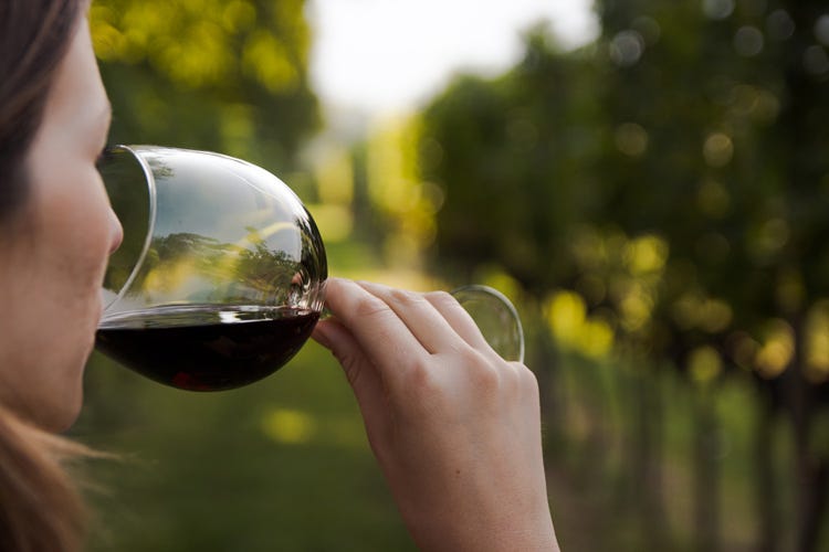 L'Italia produrrà quest'anno circa 47 milioni di ettolitri di vino (Vino, Italia regina della produzione Ma ne consumiamo solo il 56%)