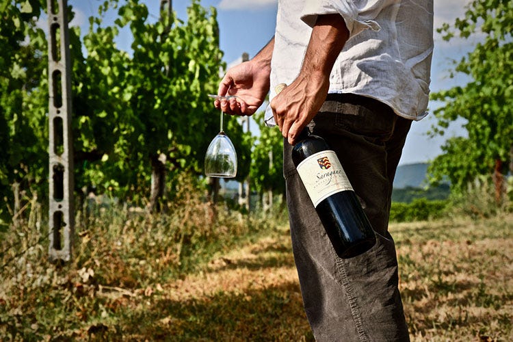 Tra le novità la vinoteca Winelover in cerca di relax? Riapre La Ghirlanda Wine Resort