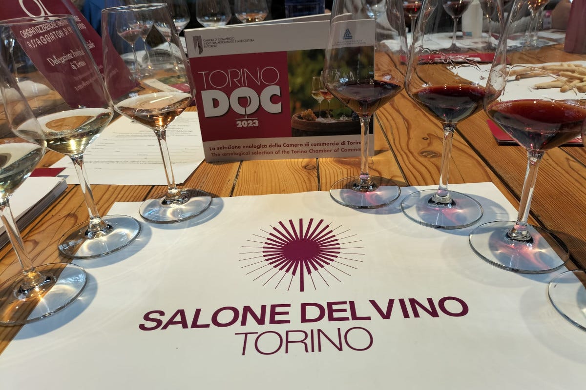 Salone del vino di Torino 2024: riflettori su giovani e viticoltura eroica