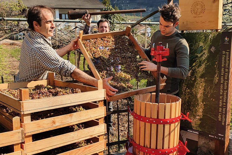 Rinnovato l'antico rito pasquale del Vino Santo del Trentino
