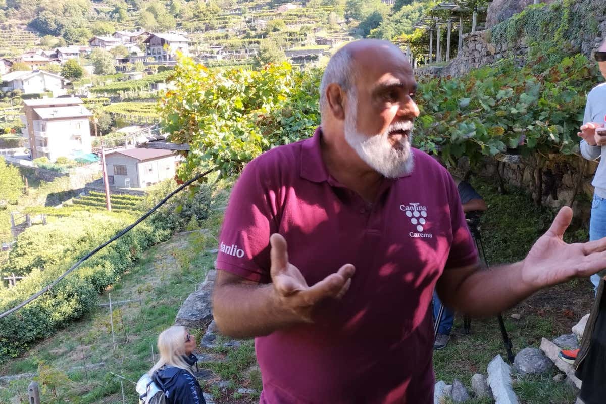 Viticoltura eroica: così il Nebbiolo sfida il clima tra i terrazzamenti dell’Alto Canavese Viticoltura eroica: così il Nebbiolo sfida il clima tra i terrazzamenti dell’Alto Canavese