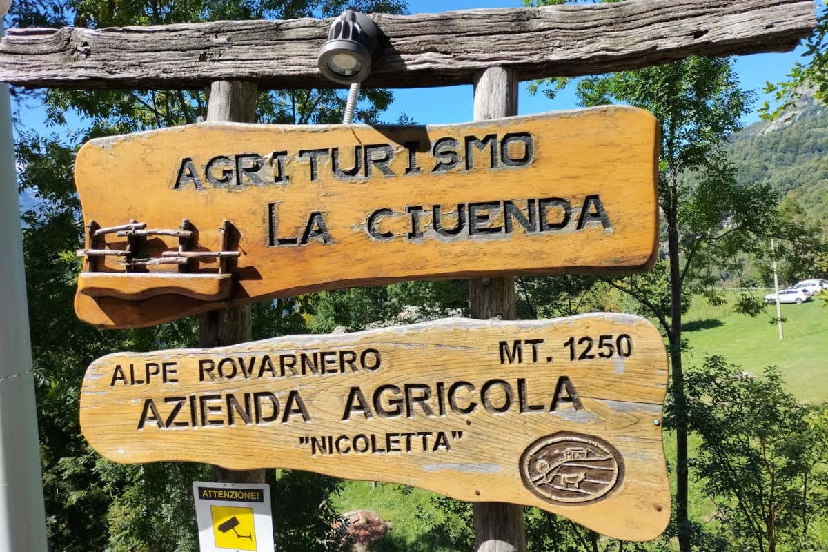 Viticoltura eroica: così il Nebbiolo sfida il clima tra i terrazzamenti dell’Alto Canavese Viticoltura eroica: così il Nebbiolo sfida il clima tra i terrazzamenti dell’Alto Canavese