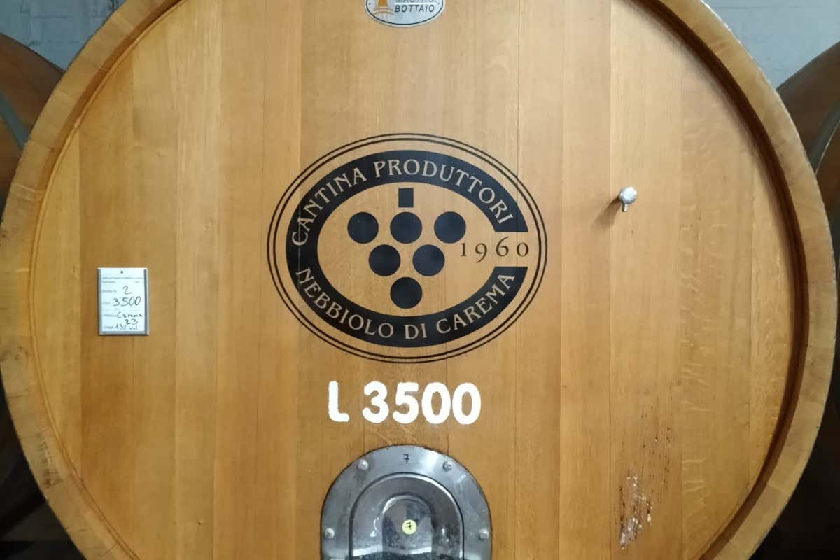 Viticoltura eroica: così il Nebbiolo sfida il clima tra i terrazzamenti dell’Alto Canavese Viticoltura eroica: così il Nebbiolo sfida il clima tra i terrazzamenti dell’Alto Canavese