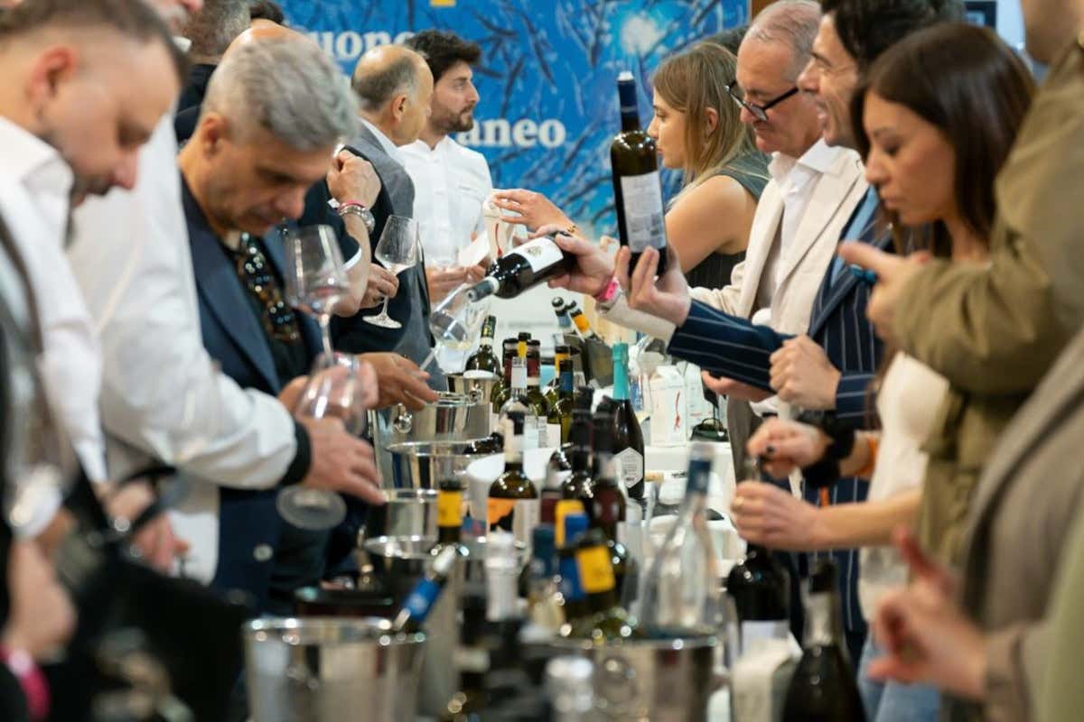 Il vino italiano si racconta a Napoli con 250 cantine e oltre 2mila etichette Il vino italiano si racconta a Napoli con 250 cantine e oltre 2mila etichette