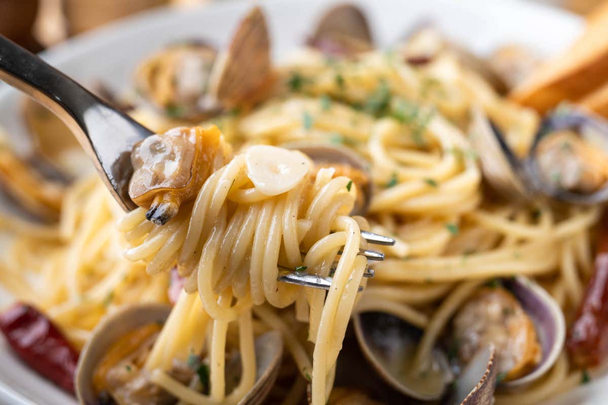 Vongole: valori nutrizionali, benefici, controindicazioni e come usarle in cucina Vongole: valori nutrizionali, benefici, controindicazioni e come usarle in cucina