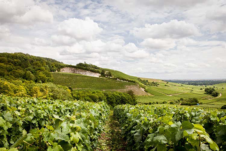 (Vranken-Pommery Monopole Nel 2018 forte investimento sull'export) (Vranken-Pommery Monopole Nel 2018 forte investimento sull'export)