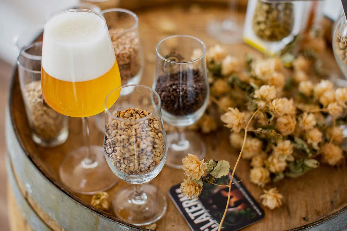 Claterna, la birra agricola che parte dai campi e affina in legno Claterna, la birra agricola che parte dai campi e affina in legno