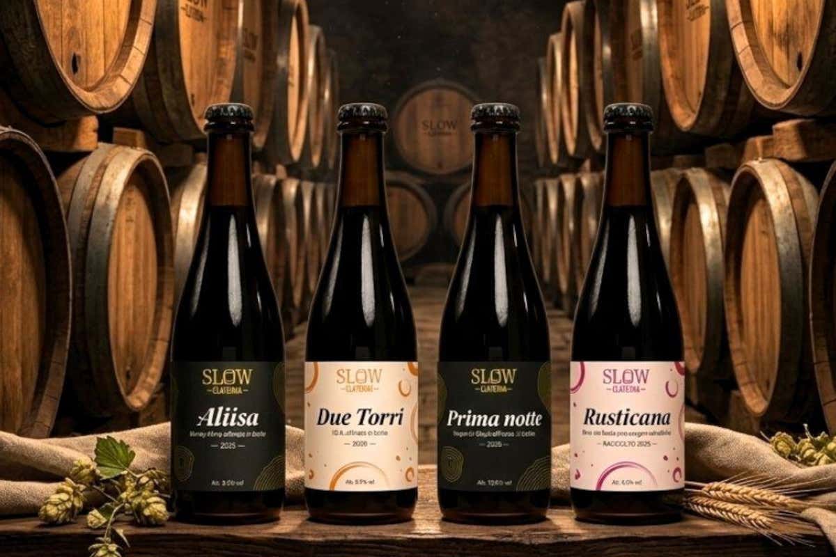 Claterna, la birra agricola che parte dai campi e affina in legno Claterna, la birra agricola che parte dai campi e affina in legno
