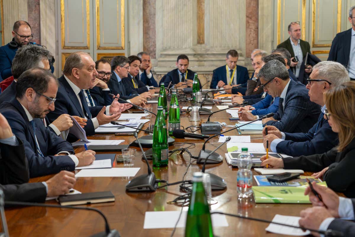 Xylella in Puglia, svolta del governo: stanziati 30 milioni per gli agricoltori Xylella in Puglia, svolta del governo: stanziati 30 milioni per gli agricoltori